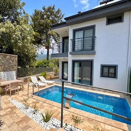 Vilă Duplex With Private Pool In Akyaka Atakoey
